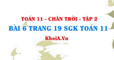 Bài 6 trang 19 Toán 11 Tập 2 Chân trời sáng tạo